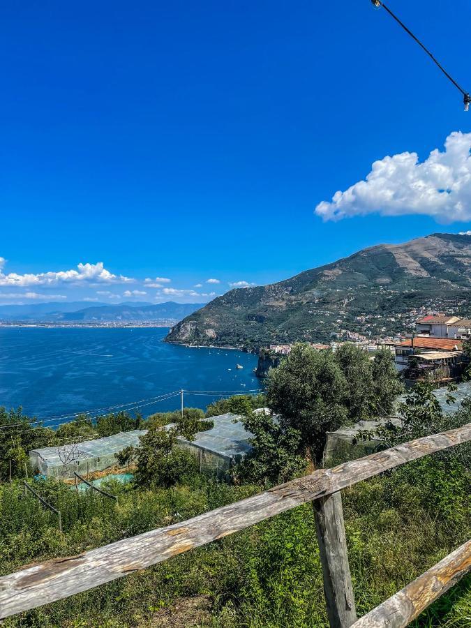 Antica Tenuta Celotto Вико Екуензе Екстериор снимка