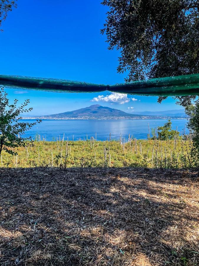 Antica Tenuta Celotto Вико Екуензе Екстериор снимка