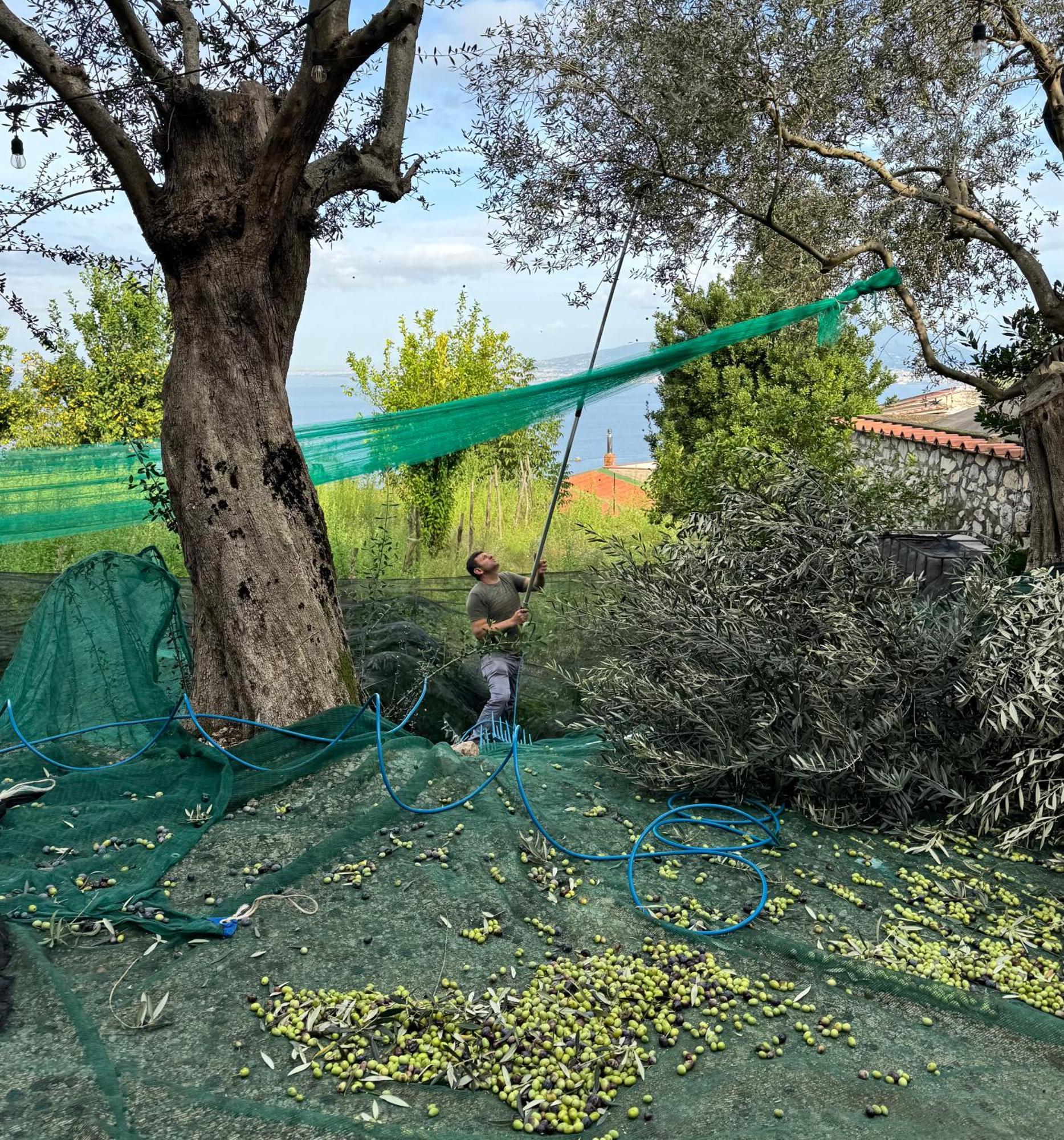 Antica Tenuta Celotto Вико Екуензе Екстериор снимка